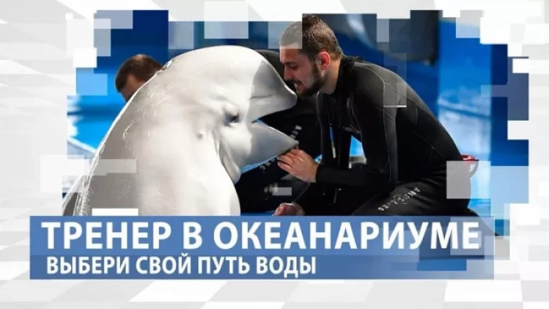 «Тружусь и горжусь». Профессия - тренер океанариума