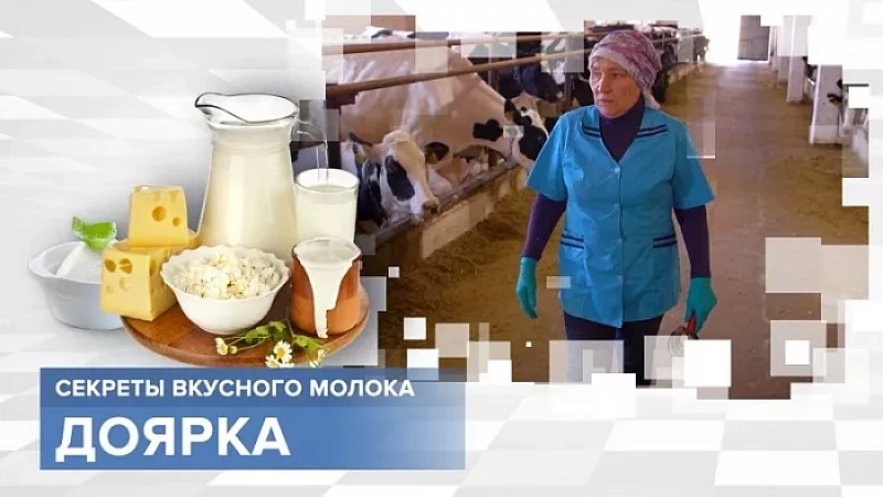 «Тружусь и горжусь». Профессия - доярка