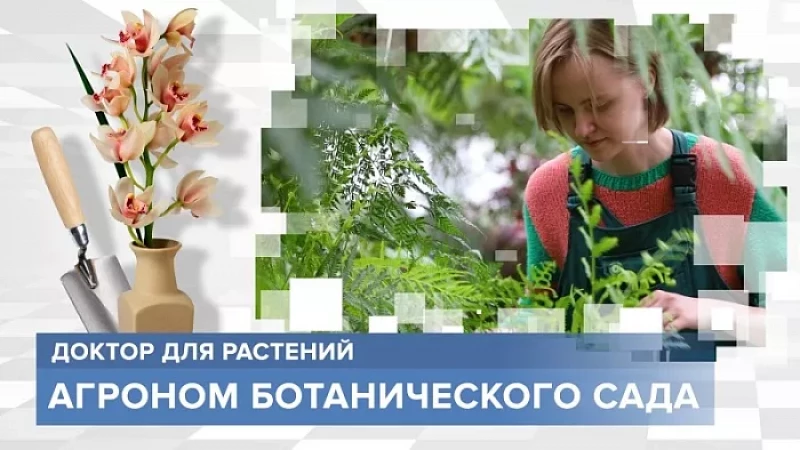 «Тружусь и горжусь». Профессия - агроном