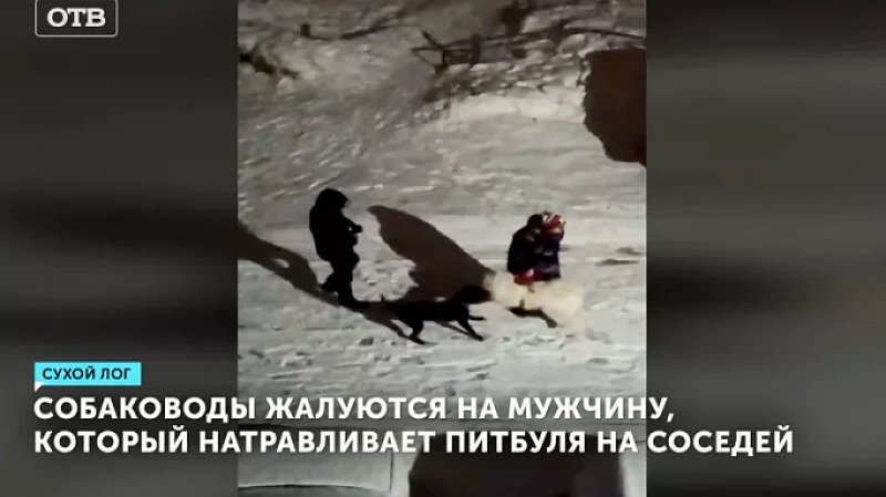 Собаководы жалуются на мужчину, который натравливает питбуля на соседей