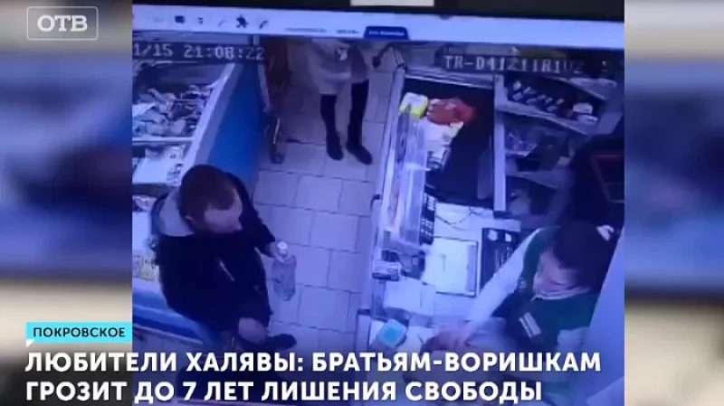 Любители халявы: братьям-воришкам грозит до 7 лет лишения свободы