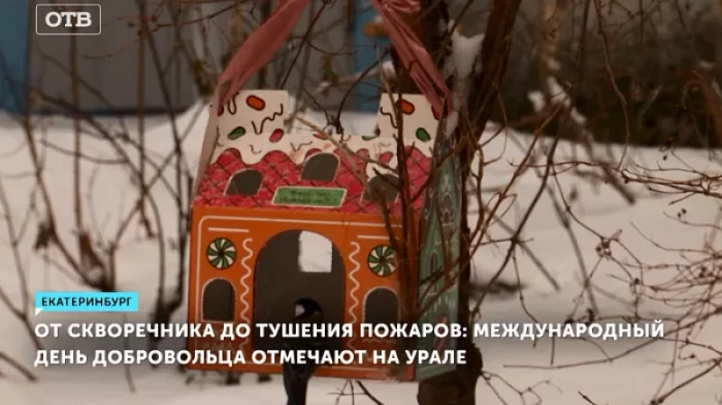 От скворечника до тушения пожаров: Международный день добровольца отмечают на Урале