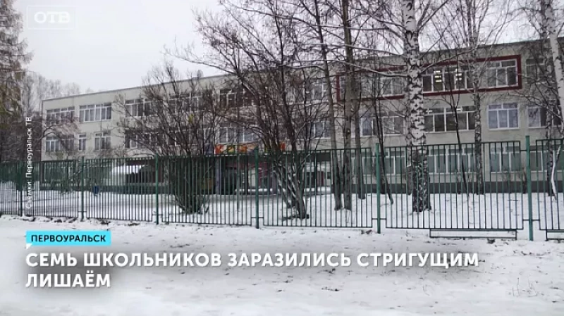 Семь школьников заразились стригущим лишаём