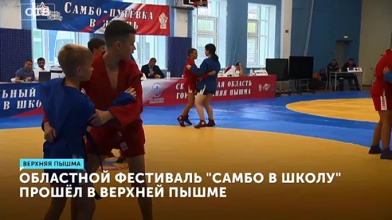 Областной фестиваль «Самбо в школу» прошёл в Верхней Пышме
