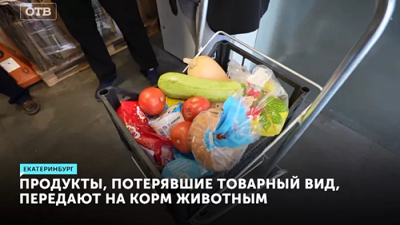 Продукты, потерявшие товарный вид, передают на корм животным