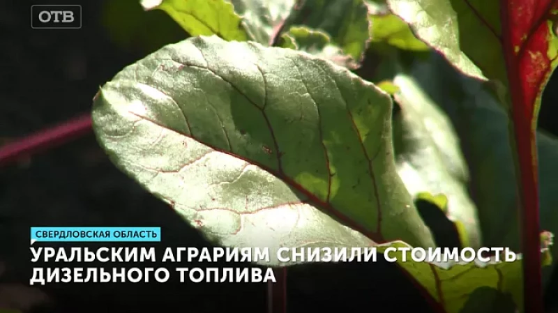 Уральским аграриям снизили стоимость дизельного топлива