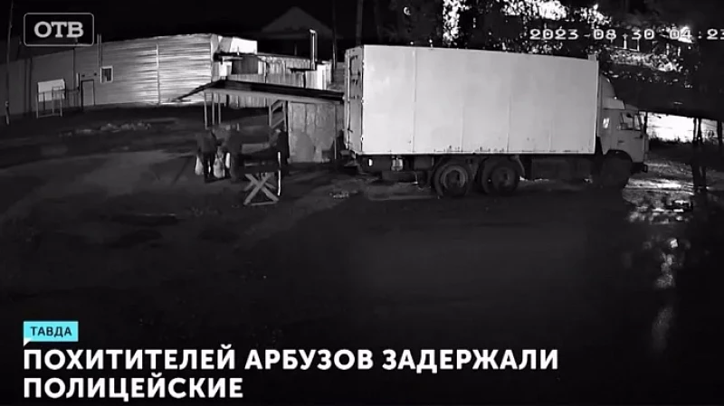 Похитителей арбузов задержали полицейские