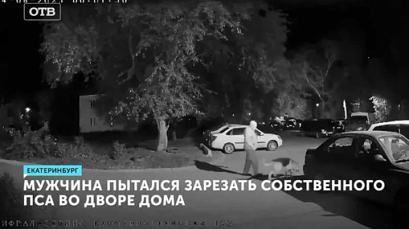 Мужчина пытался зарезать собственного пса во дворе дома