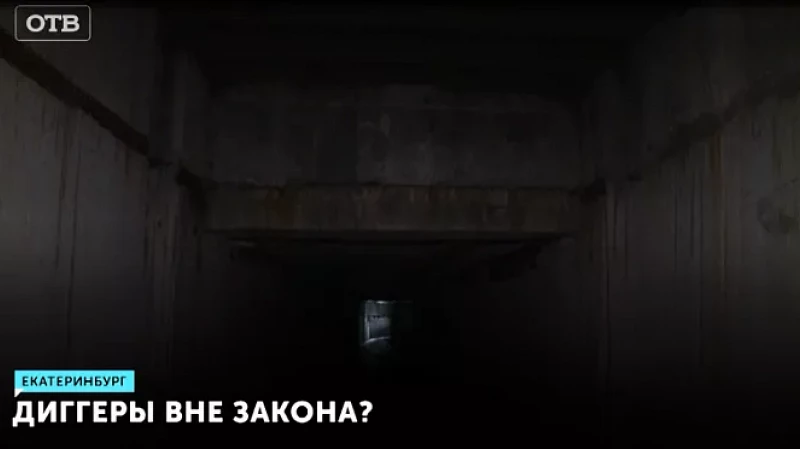 Диггеры вне закона?