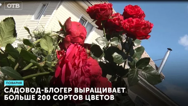 Садовод-блогер выращивает больше 200 сортов цветов