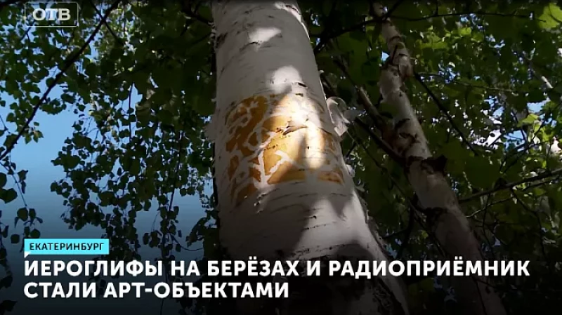 Иероглифы на берёзах и старый радиоприёмник стали экспонатами на выставке