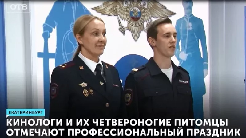 Кинологи и их четвероногие питомцы отмечают профессиональный праздник