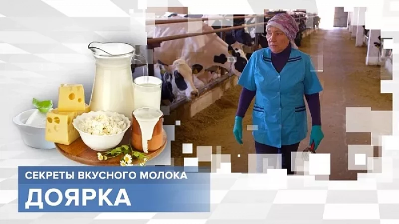 «Тружусь и горжусь». Профессия - доярка