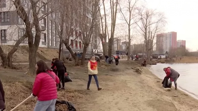 Жильцы домов у Визовского пруда устали от мусора на пляже и вышли на субботник
