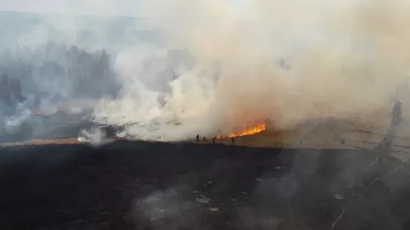 Площадь торфяного пожара в Красноуфимском районе составила 70 ГА