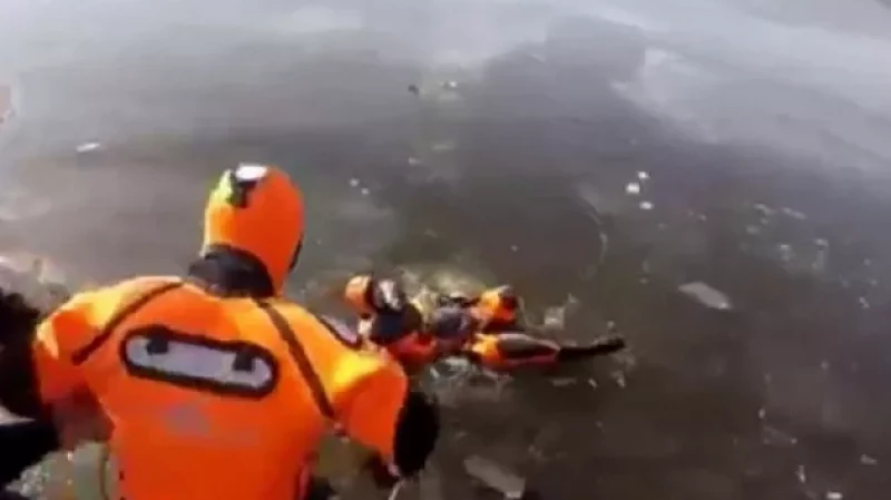 Спасатели вытащили из воды собаку, которая провалилась под лёд