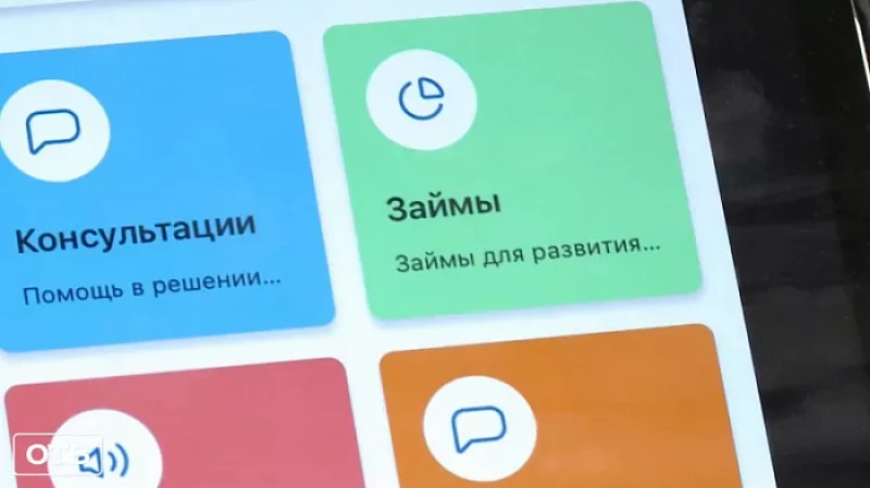 СОФПП представил мобильное приложение для малого и среднего бизнеса