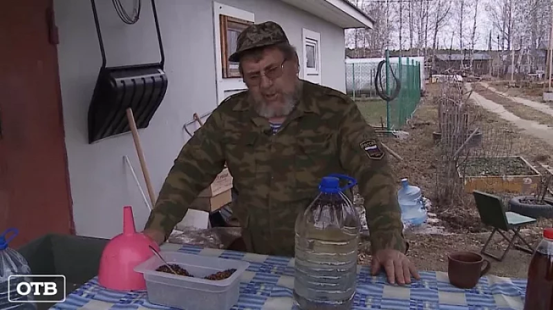 Уральский фермер готовит квас из ячменя и берёзового сока
