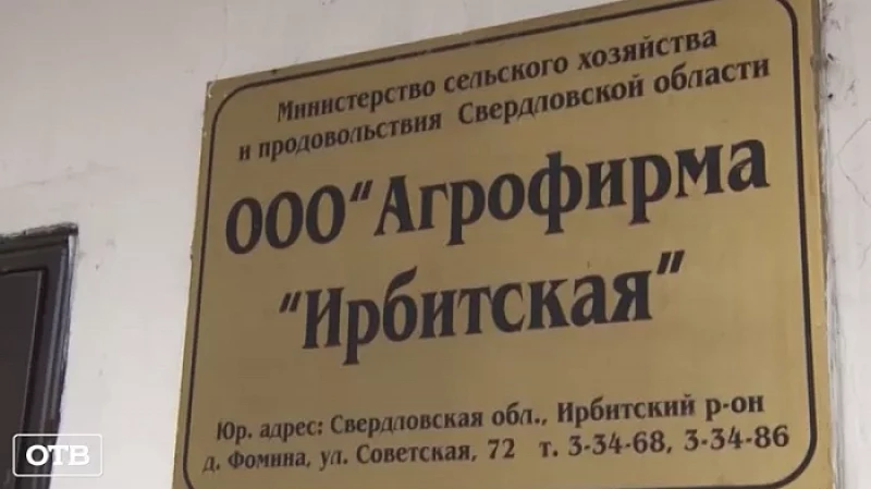Рассмотрение резонансного уголовного дела о хищении 104 млн рублей у агрофирмы «Ирбитская» завершено