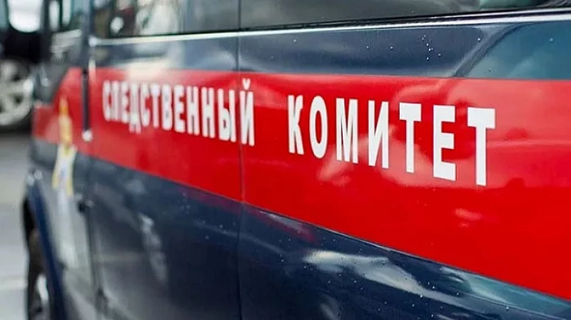 Обрушение на ребёнка конструкции детской площадки в Екатеринбурге: СК РФ проводит проверку