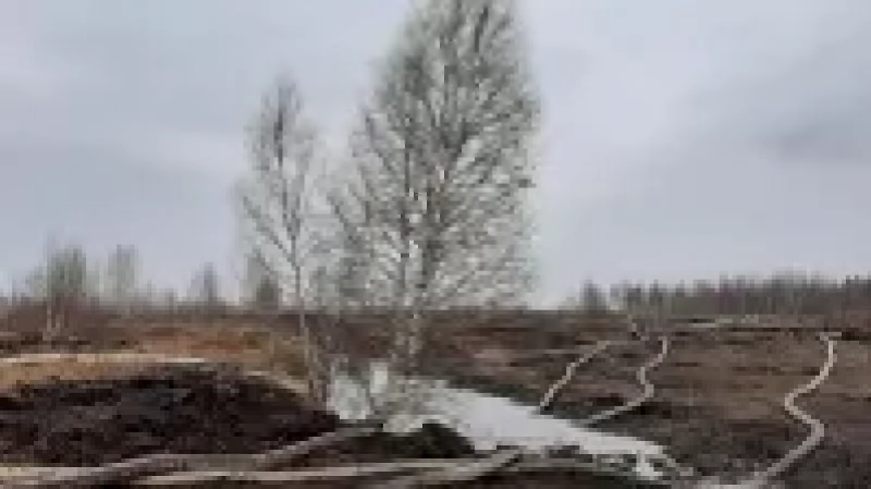 Спустя две недели на юге Екатеринбурга потушили тлеющий торфяник