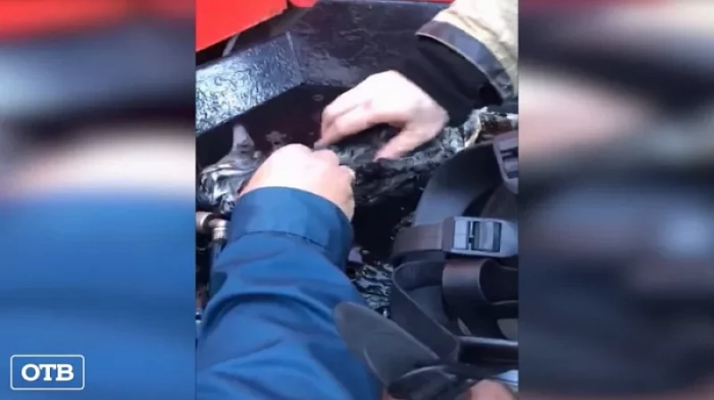 В Невьянске пожарные реанимировали котёнка, который надышался дымом