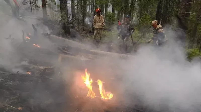 23-25 апреля на Среднем Урале объявлена пожарная опасность