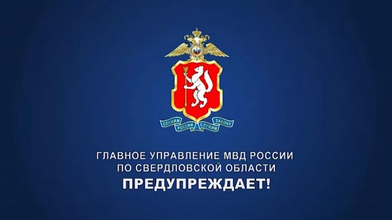 Не повторяйте чужих ошибок: на Урале орудуют кибермошенники