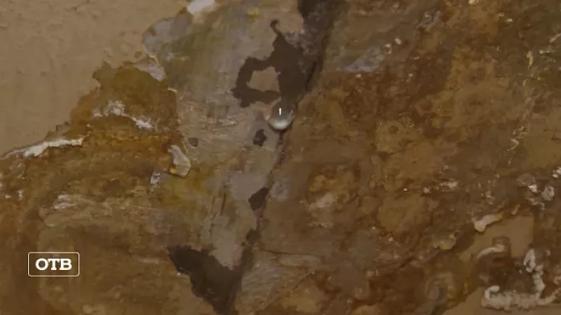 Итоги недели: квартирный потоп в многоэтажке Серова