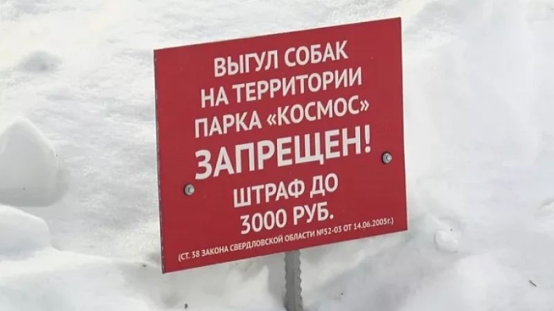Жители Каменска-Уральского не могут поделить парк с собачниками