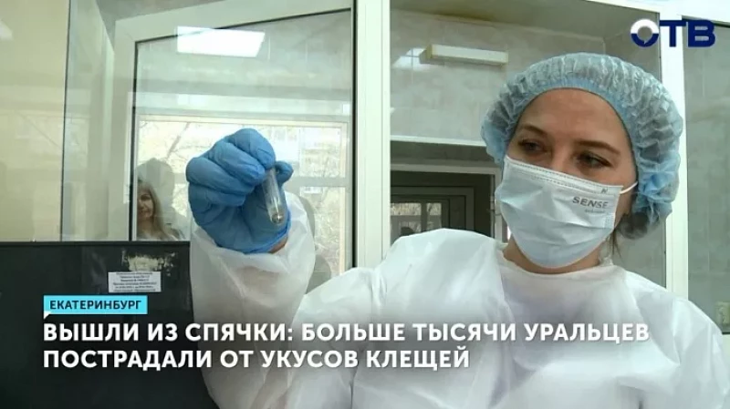 Вышли из спячки: больше тысячи уральцев пострадали от укусов клещей