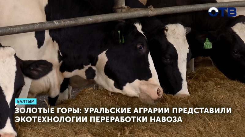 Уральские аграрии представили экотехнологии переработки навоза
