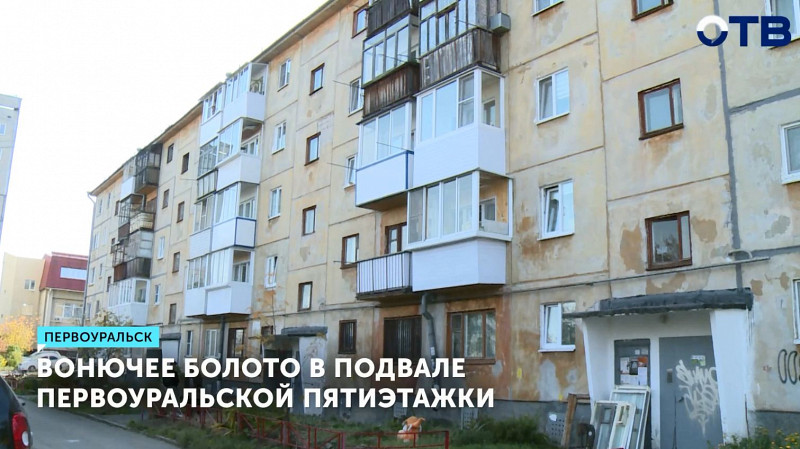 Вонючее болото в подвале первоуральской пятиэтажки