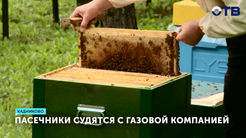 Пасечники судятся с газовой компанией