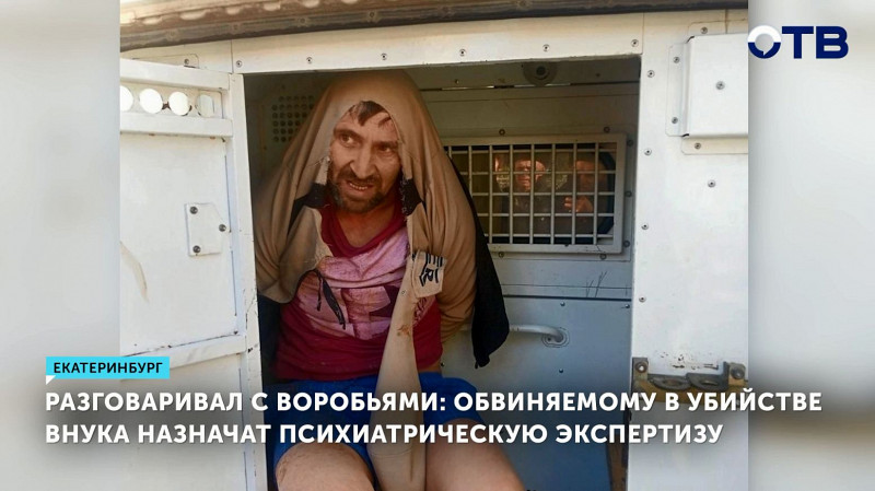 Обвиняемому в убийстве внука назначат психиатрическую экспертизу