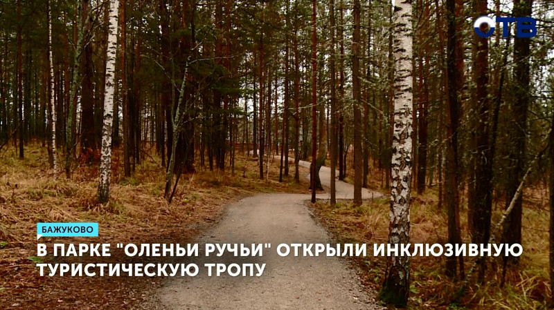В парке «Оленьи ручьи» открыли инклюзивную туристическую тропу