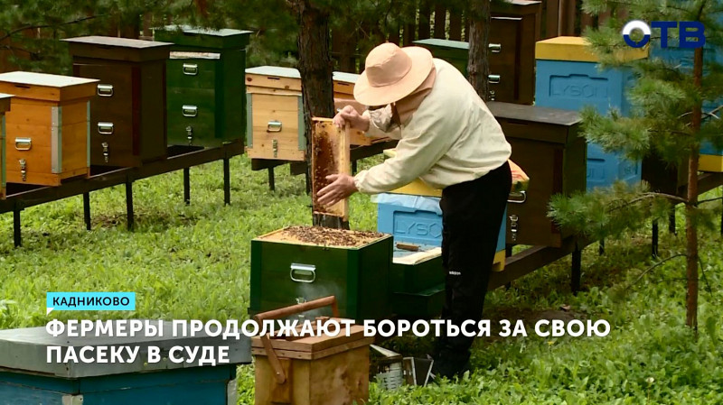 Фермеры продолжают бороться за свою пасеку в суде