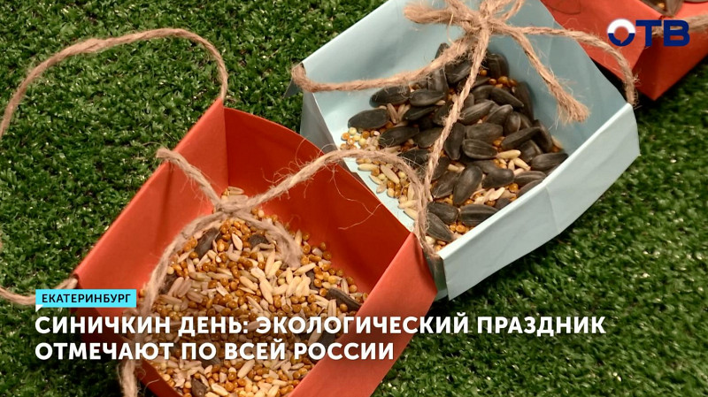 Синичкин день: экологический праздник отмечают по всей России