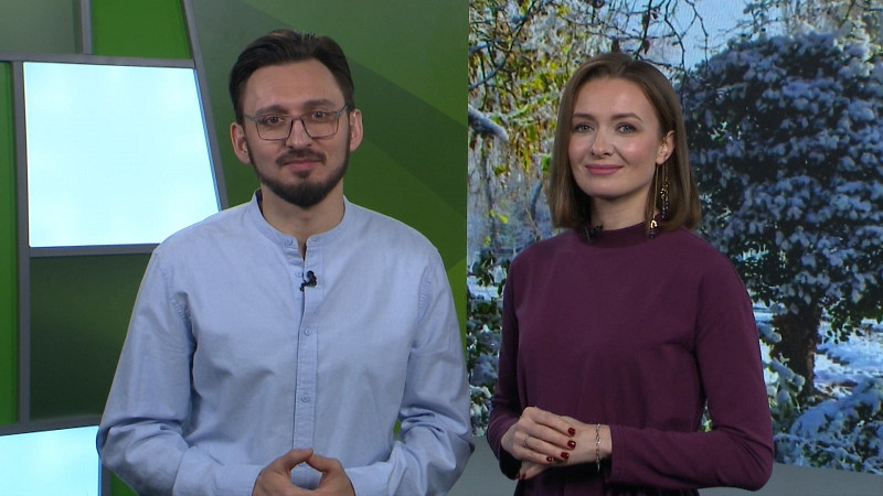 Выпуск «Свердловского утра» от 20.11.2024