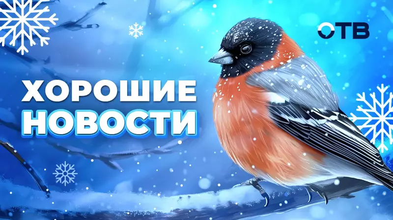 Хорошие новости
