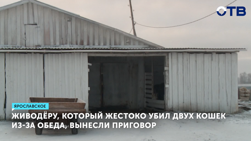 Живодер из Алапаевска получил год за убийство кошек