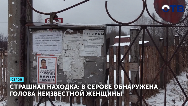 В Серове нашли голову неизвестной женщины
