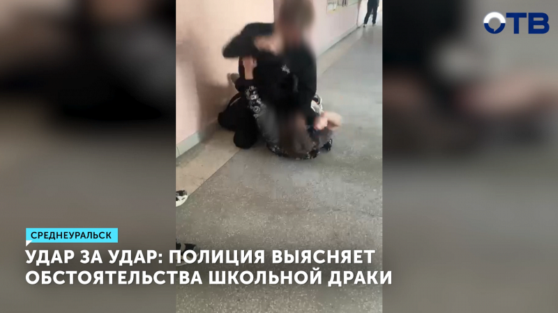 Полиция разбирается в обстоятельствах драки в школе Среднеуральска