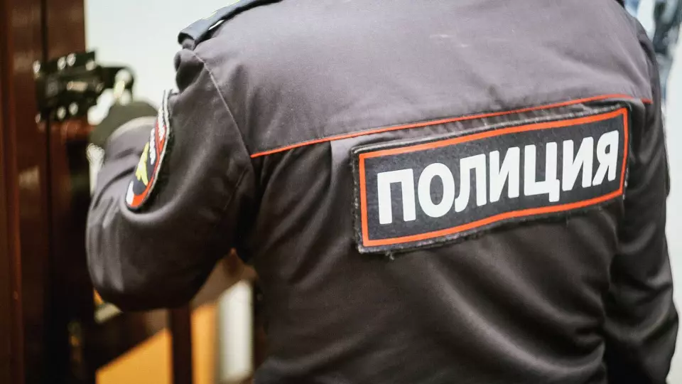 Иностранец в Михайловске обвиняется в истязании сына и угрозах полиции