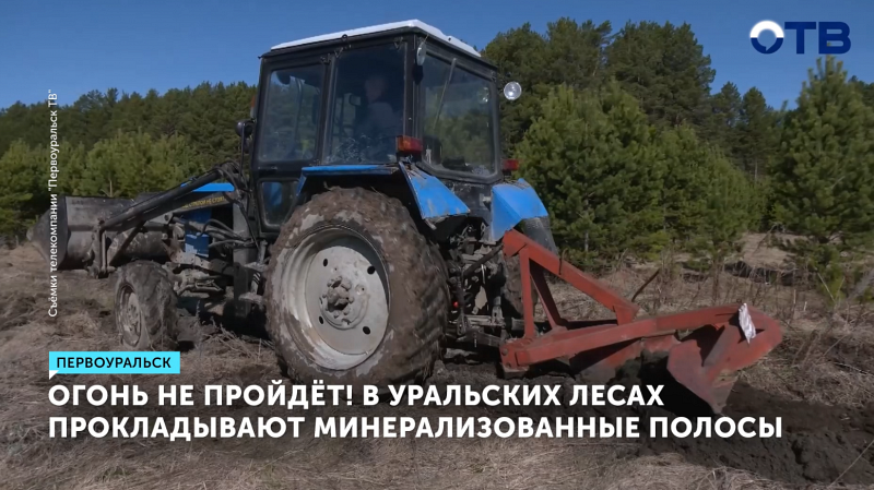 Уральские леса защищают от пожаров минерализованными полосами