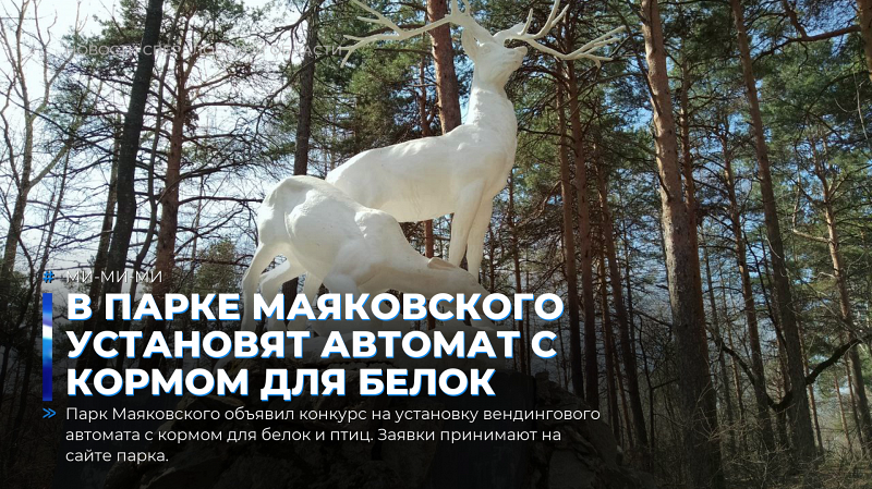 В парке Маяковского установят автомат с кормом для белок