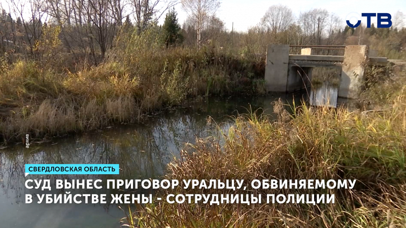 Красноуфимец получил 17 лет колонии за убийство жены-полицейского