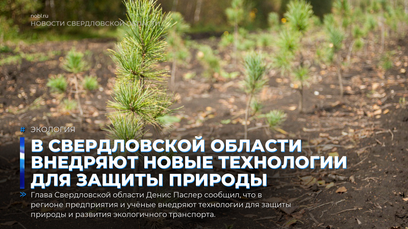 В Свердловской области внедряют новые технологии для защиты природы