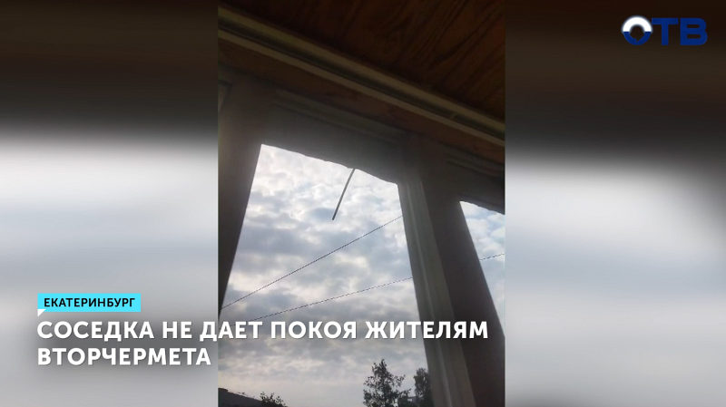 Жители Вторчермета страдают от буйной соседки