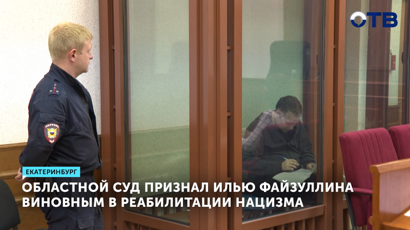 Областной суд признал Илью Файзуллина виновным в реабилитации нацизма